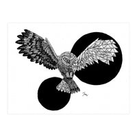 Doodle 100: Doodlefy Owl (Print Only)