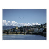 Volare A Firenze (Print Only) thumbnail