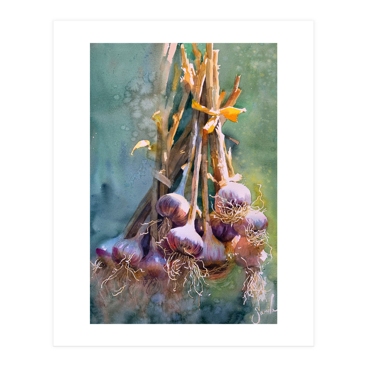 Still Life Garlic (Print Only)