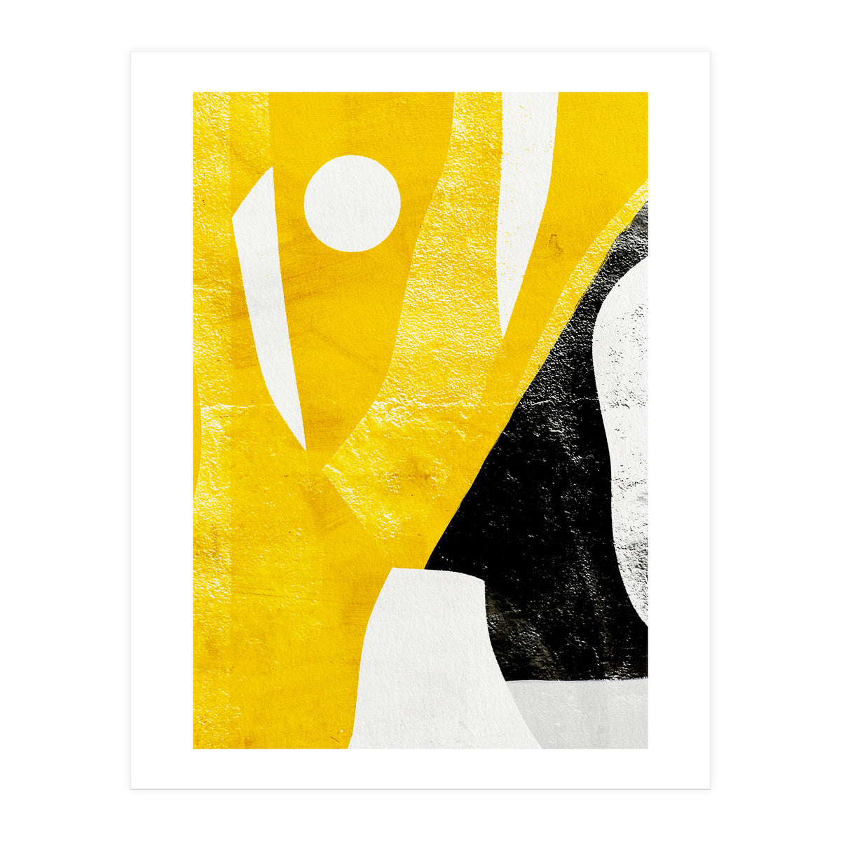 Coiote 2 (Print Only)