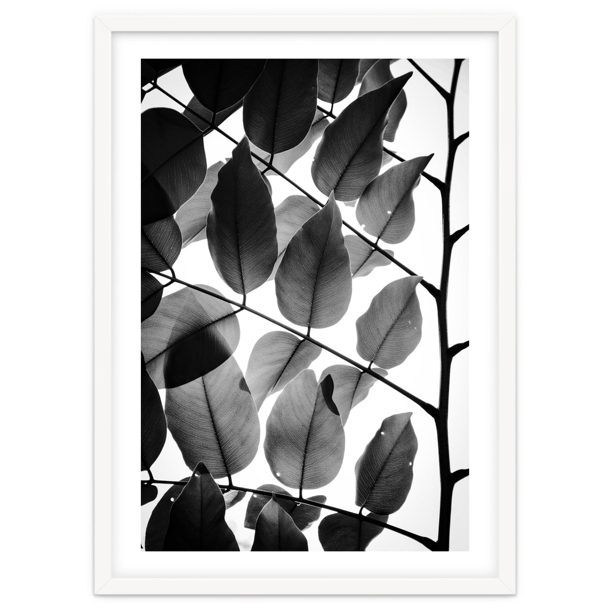 Branches and Leaves II