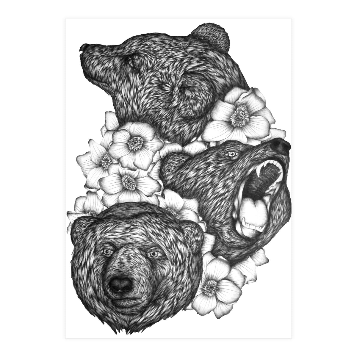 Bears In Bears (Print Only)
