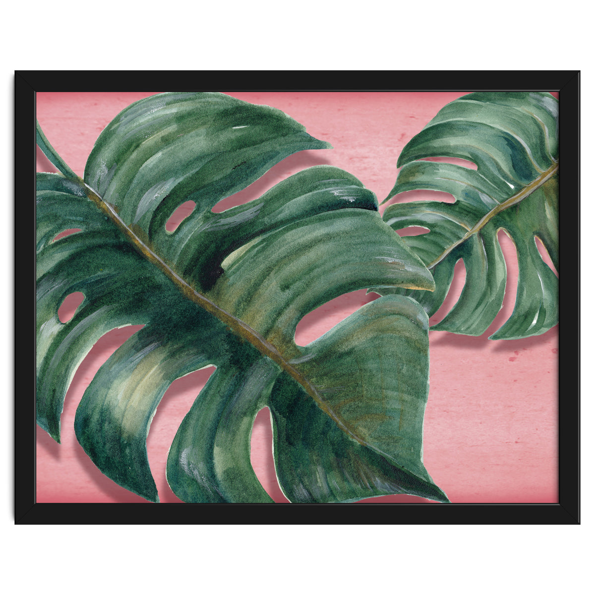Monstera Leaf