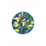 Winter Eucalyptus  (Print Only) thumbnail
