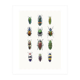 Cc Insects 03 (Print Only) thumbnail