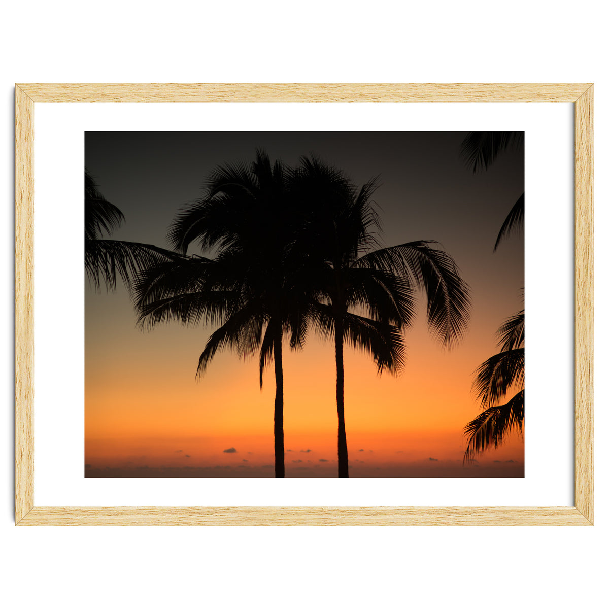 Mexico, November nights