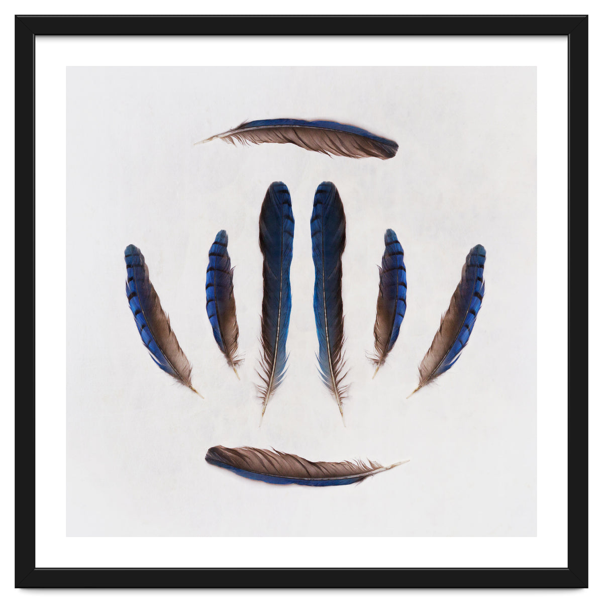 Forgive Me For Forgetting