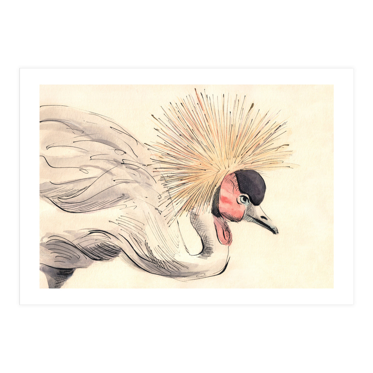 Crowned Crane (Print Only)