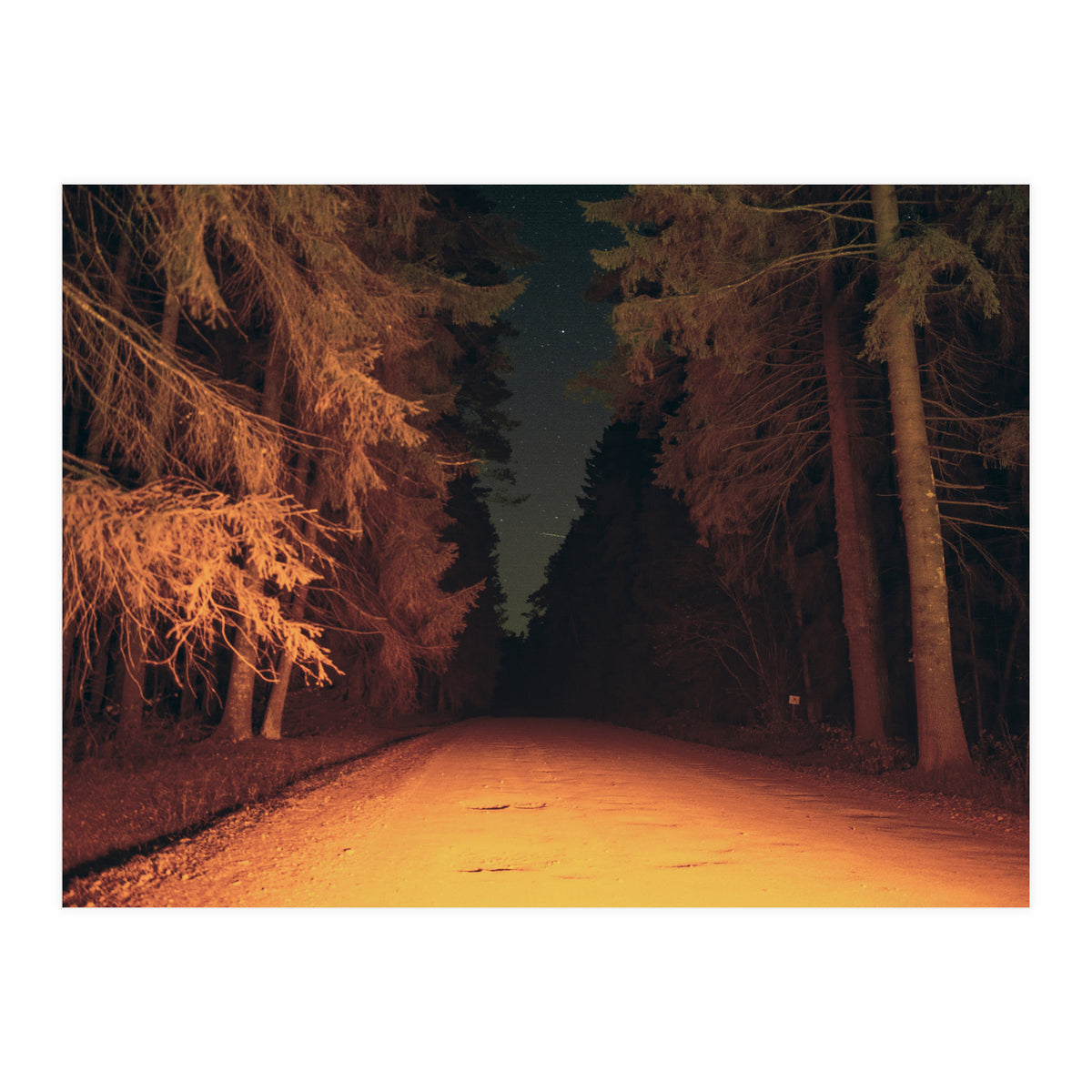 Serial Killer on His Way Home (Print Only)