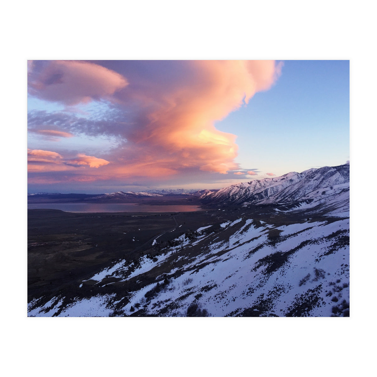 Mammoth (Print Only)