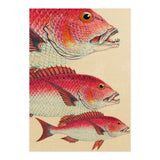Fish Classic Designs 7 (Print Only) thumbnail