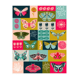 Lepidoptery (Print Only) thumbnail