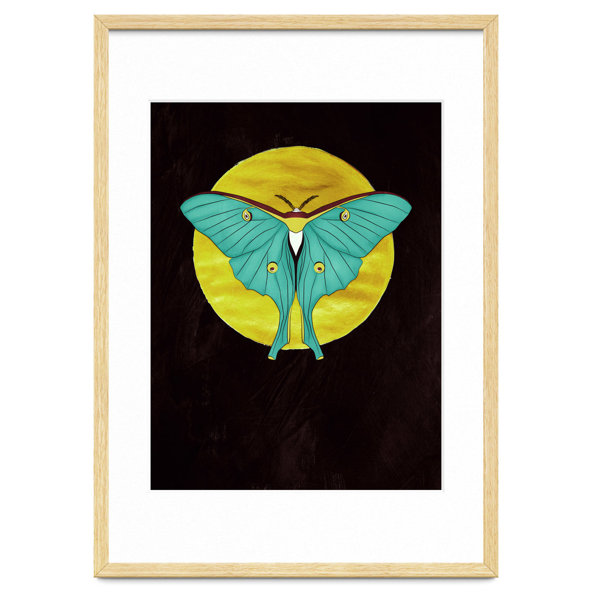 Luna Moth Moon