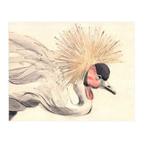 Crowned Crane (Print Only) thumbnail