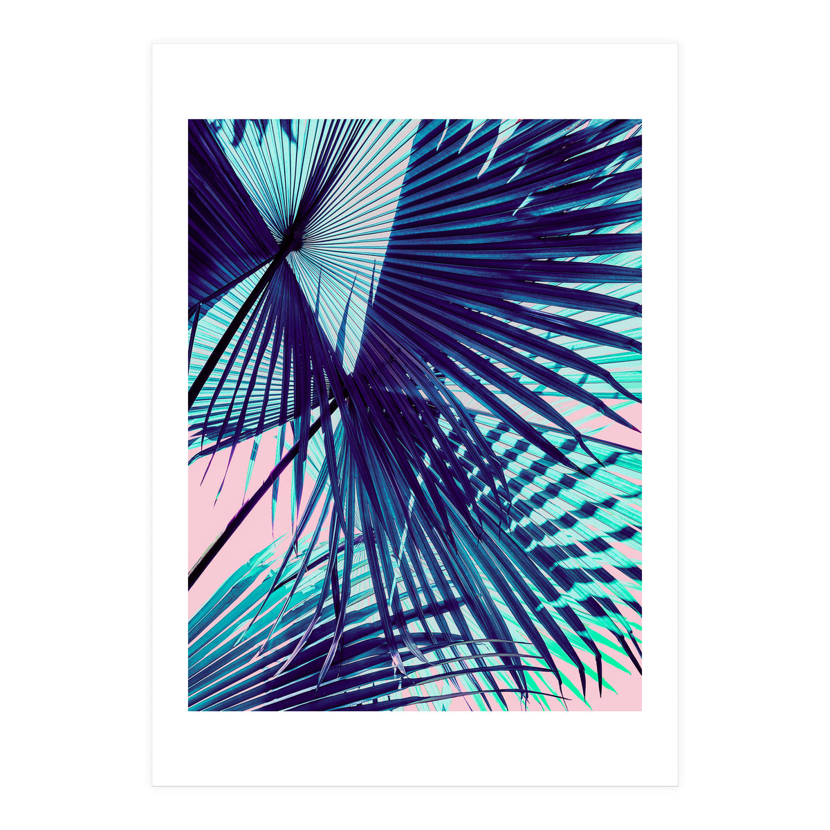 Palm leaf on the beach (Print Only)