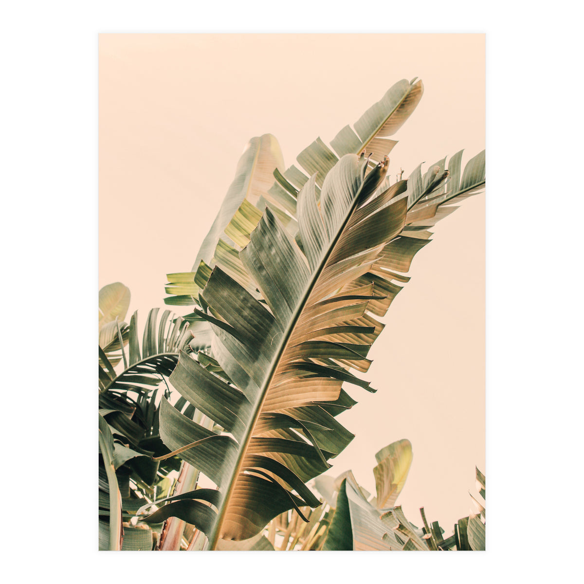 Growing Green Alicia Bock (Print Only)