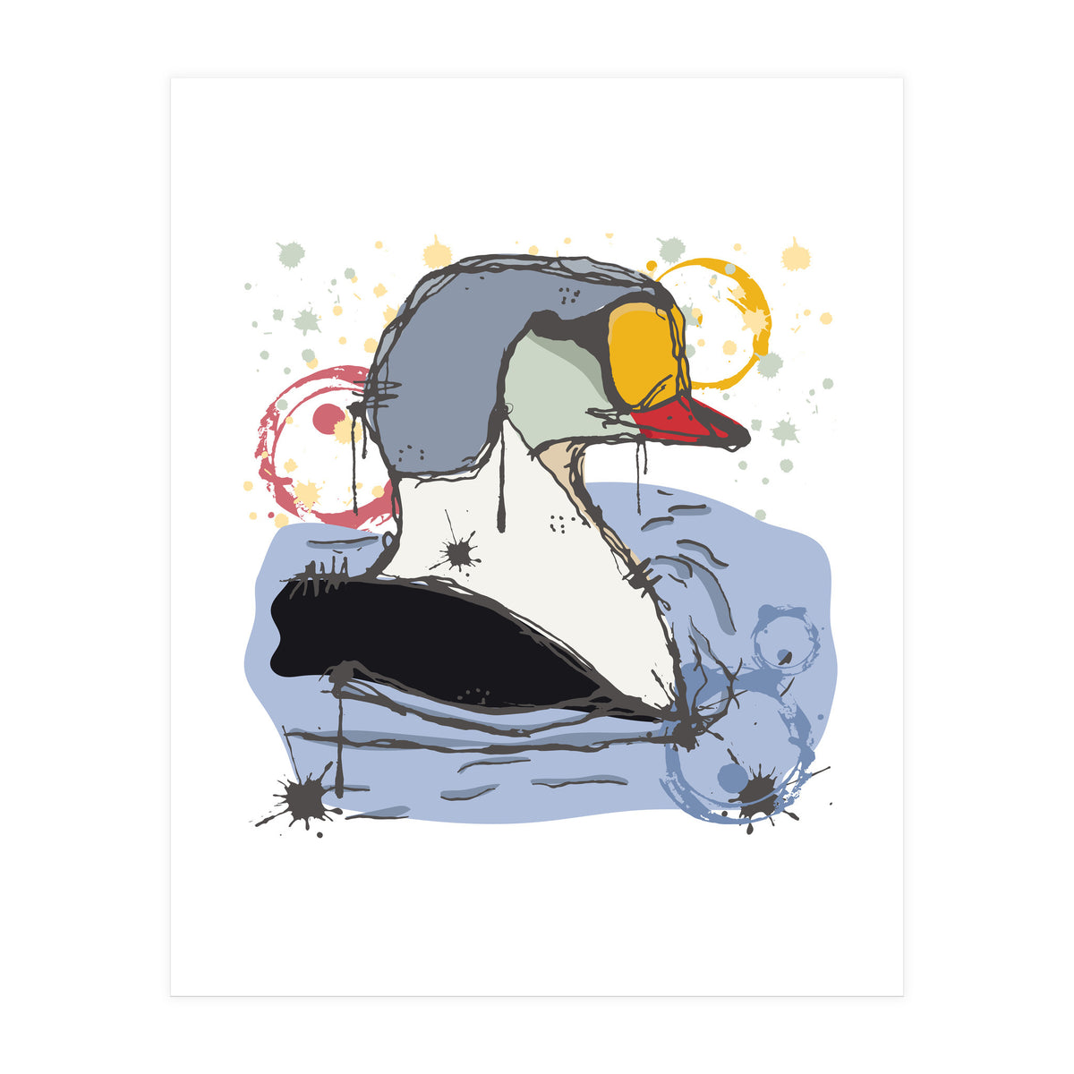 Male King Eider Duck Sketch (Print Only)