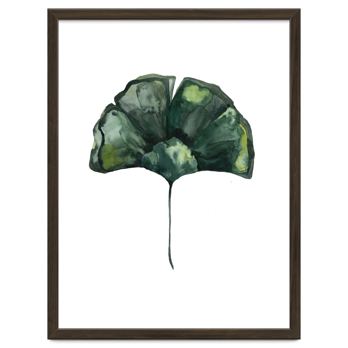 Botanical Illustration Ginko