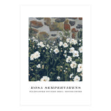 Rosa Sempervirens  (Print Only) thumbnail