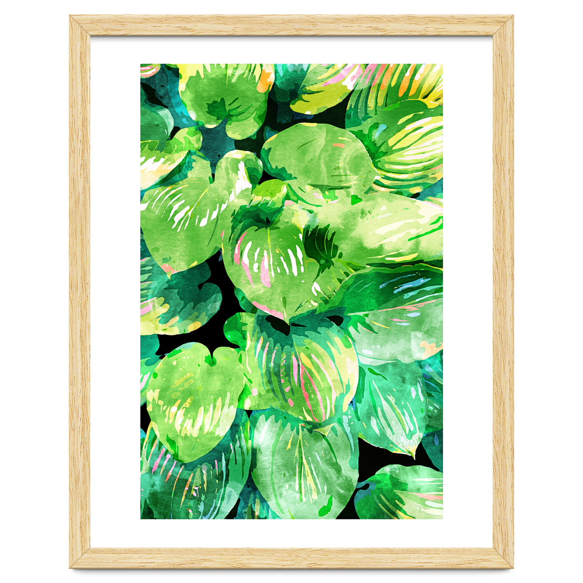 Colors Of The Jungle