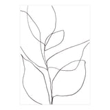 Plant Line Drawing (Print Only) thumbnail