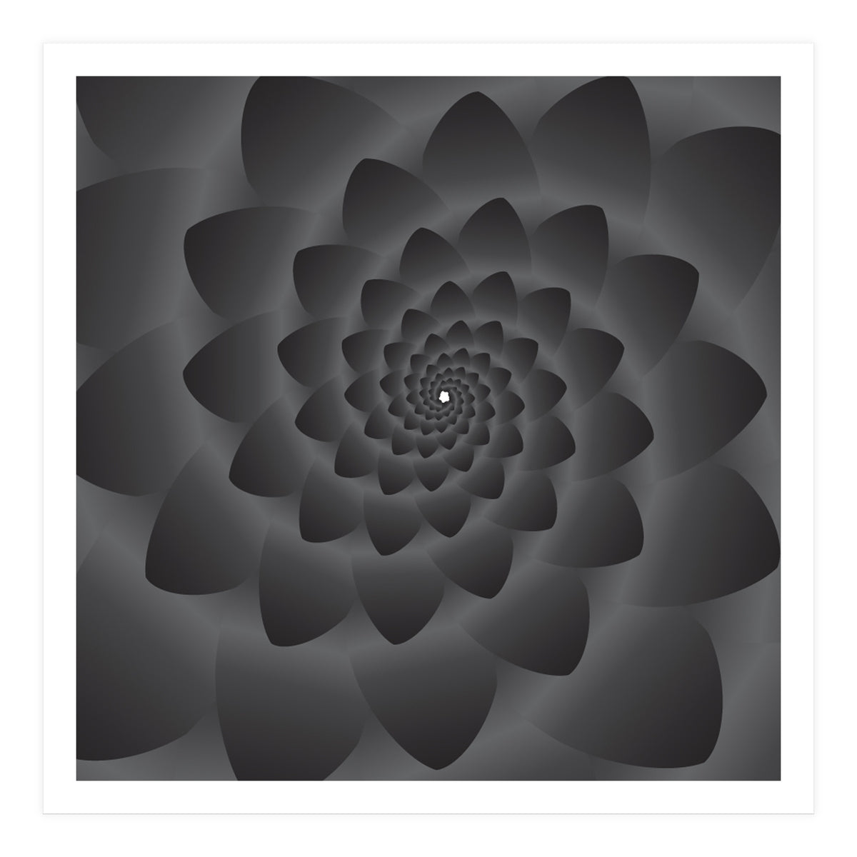 3 D Modern Black Floral (Print Only)