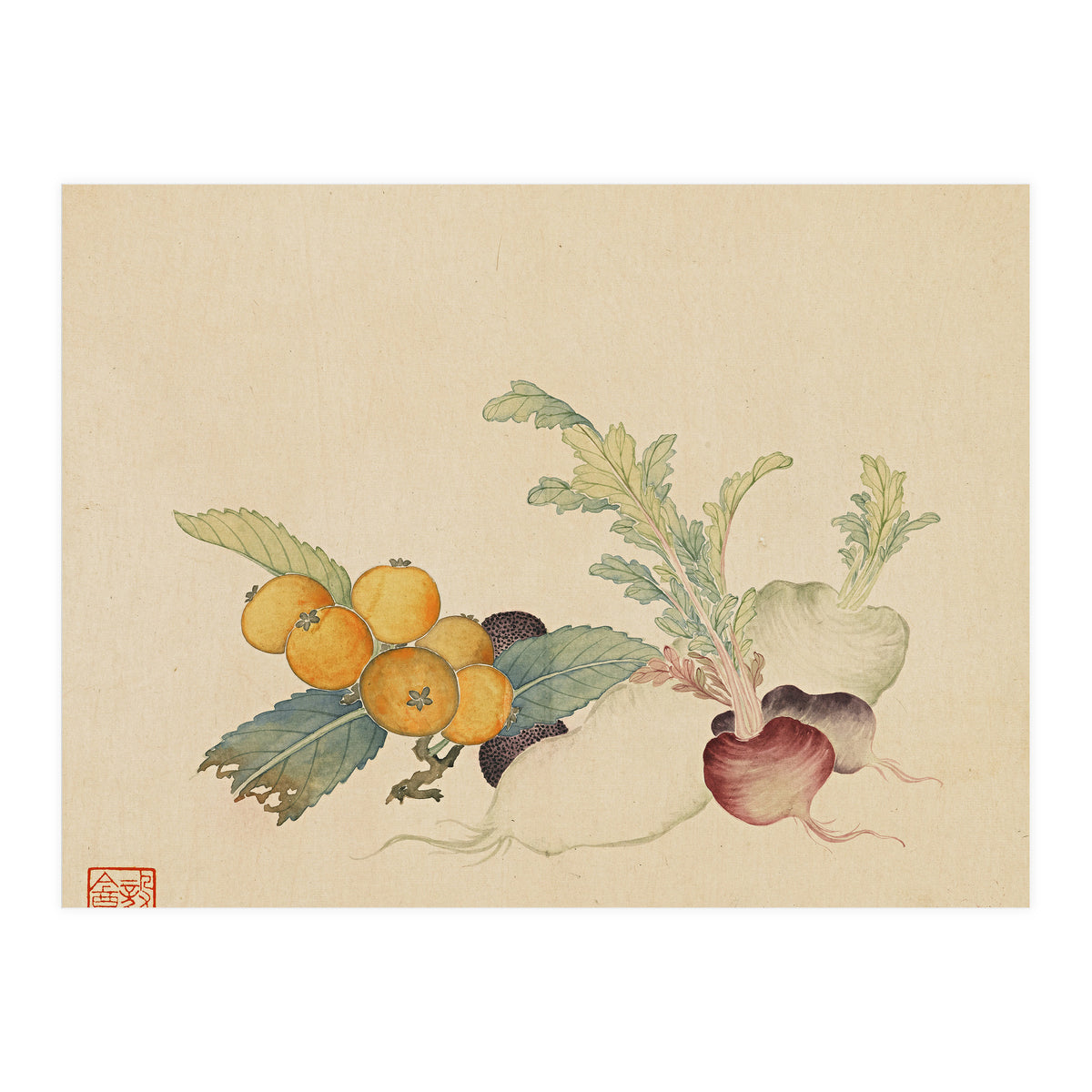 Wang Chengpi~flowers And Vegetables, Vegetables, Fruits, Loquat, White Radish, Carrot, Radish (Print Only)