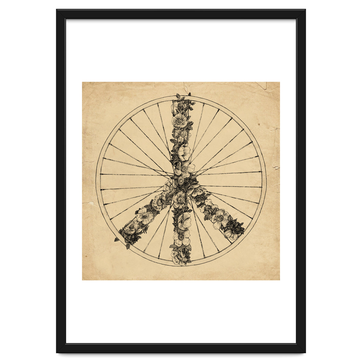 Peace And Bike Lines