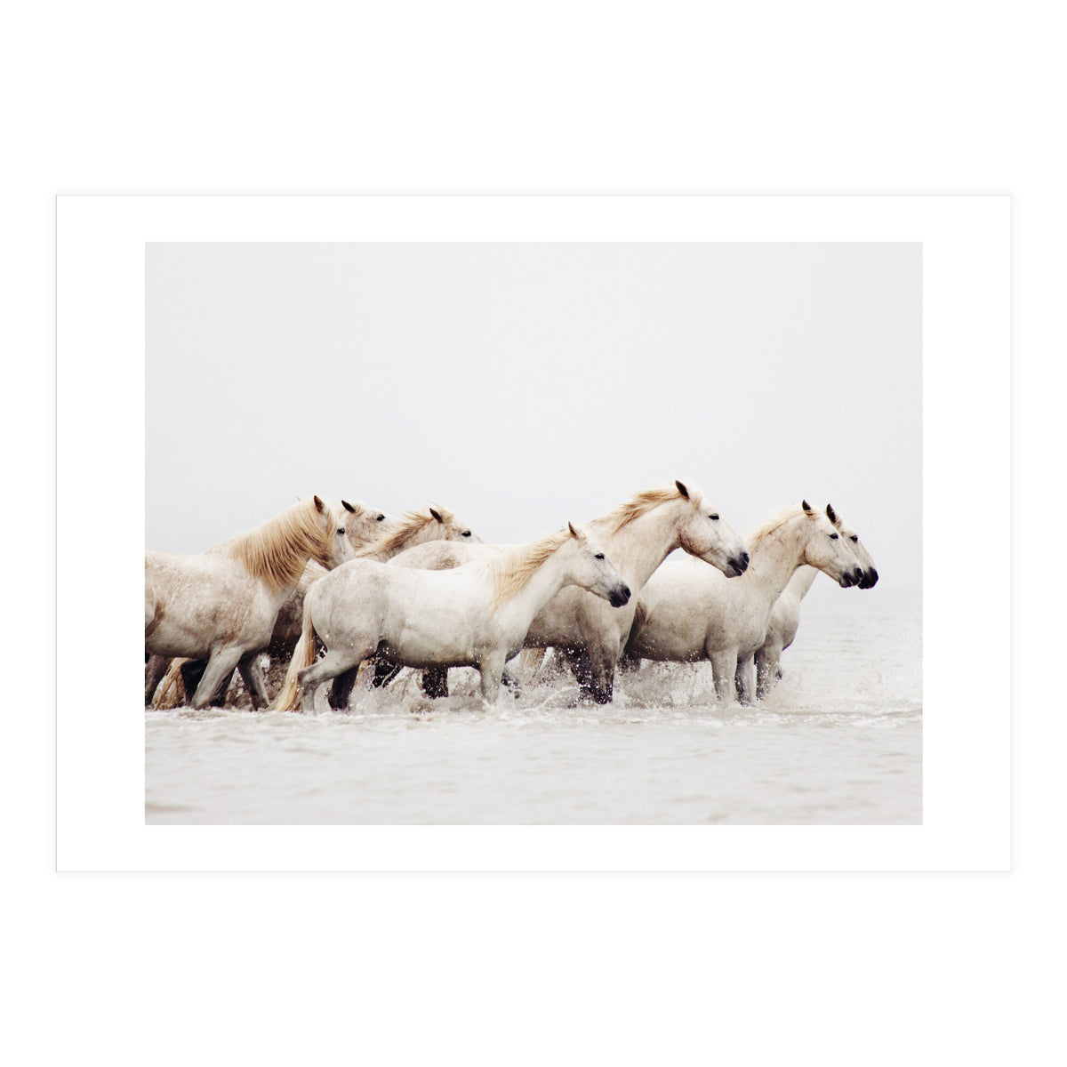 White Horses - Nature Photography (Print Only)