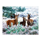 Unicorn Deer (Print Only) thumbnail