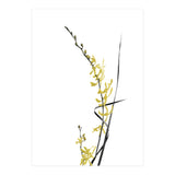 Flower Minimal Black And Gold 06 (Print Only) thumbnail