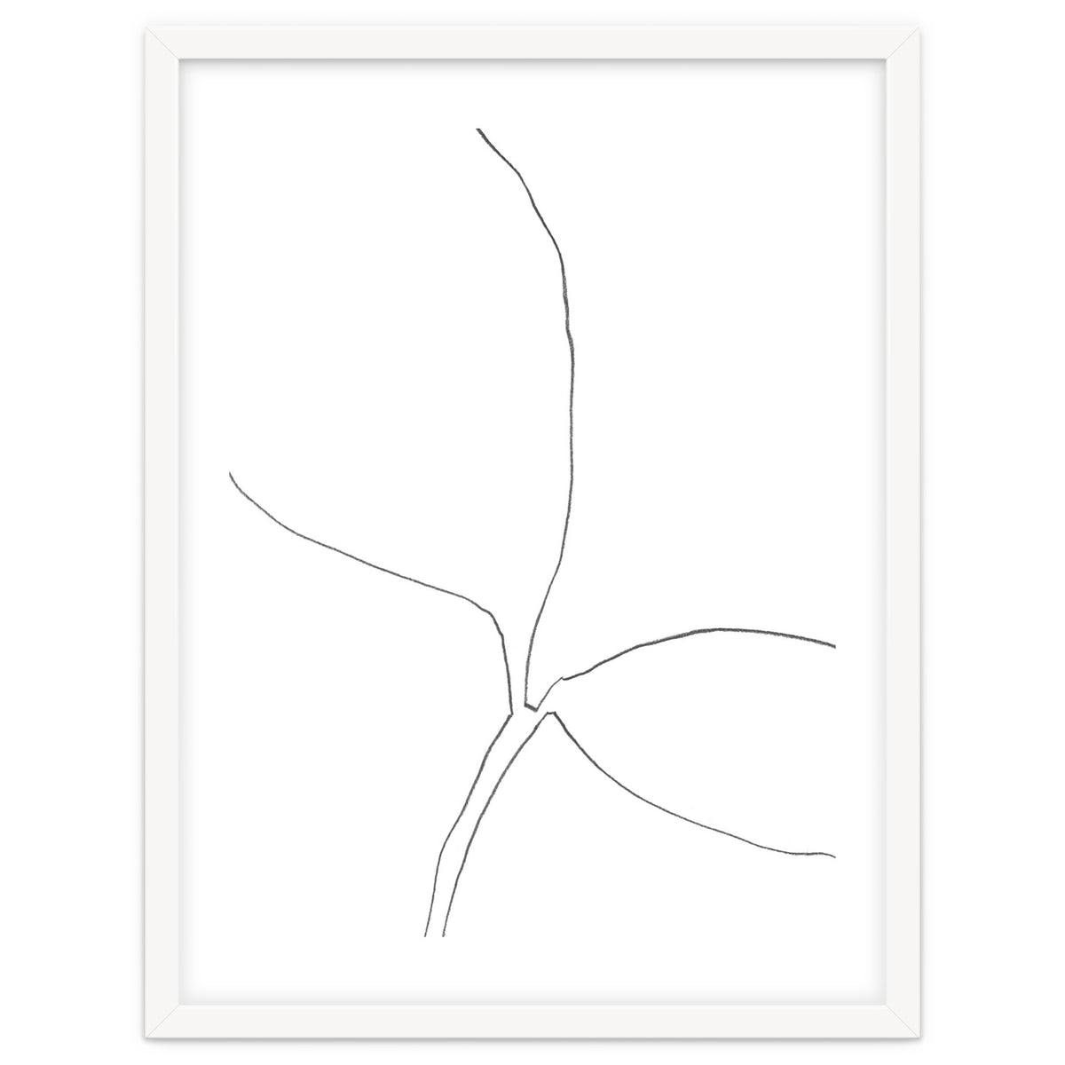 Seedling Leaning Right