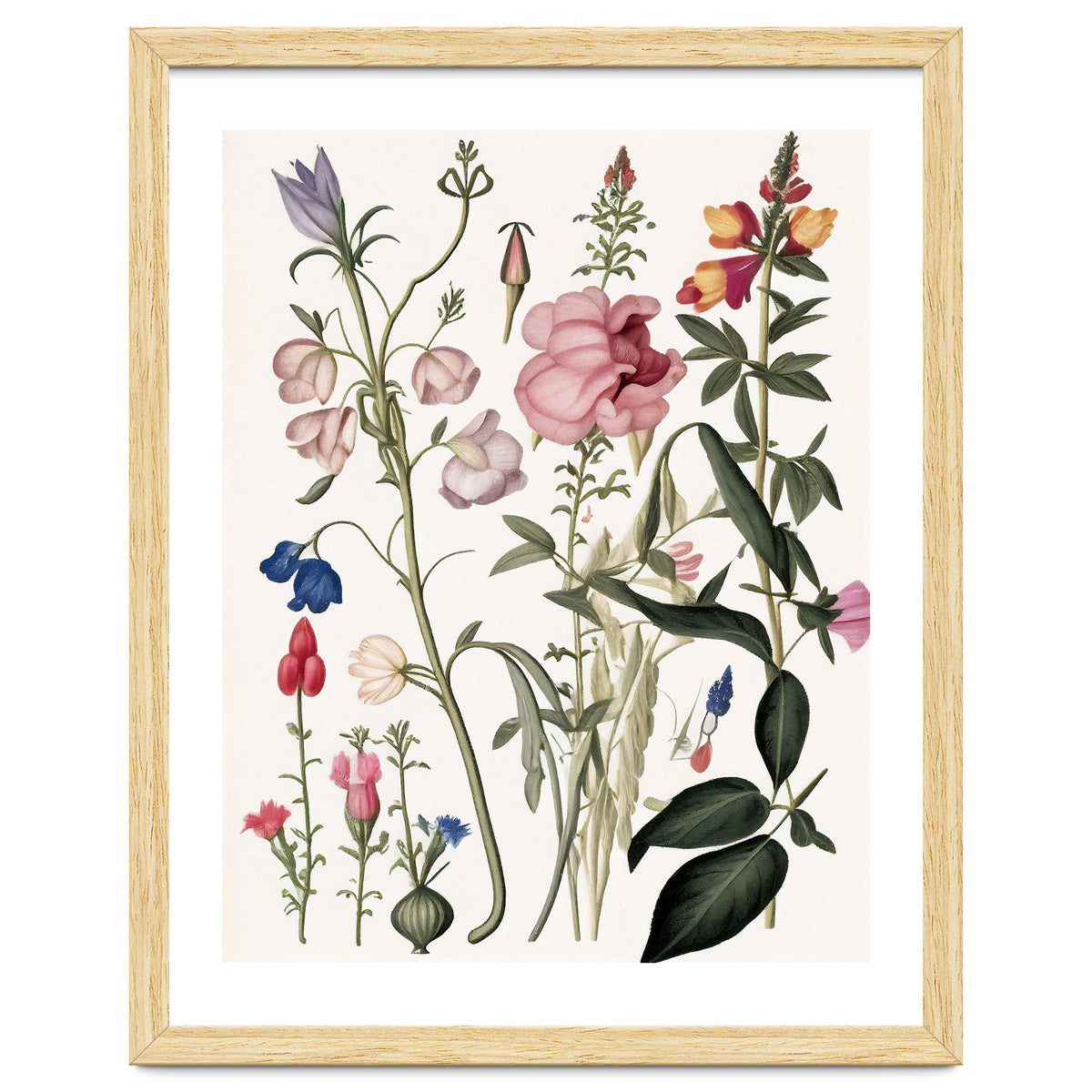 Flowers Botanical Vintage Illustration