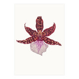Cc Flower 05 (Print Only) thumbnail