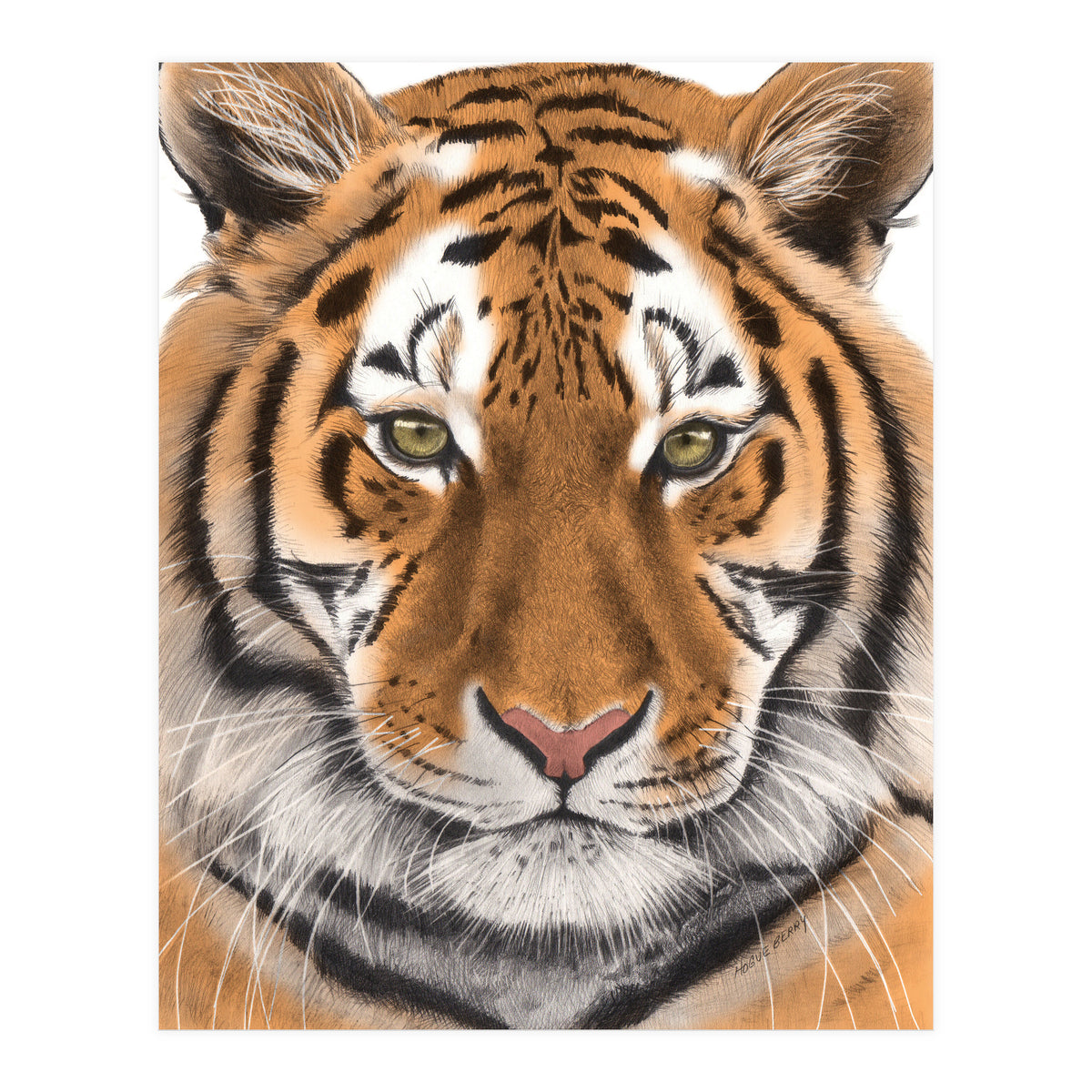 Tiger (Print Only)