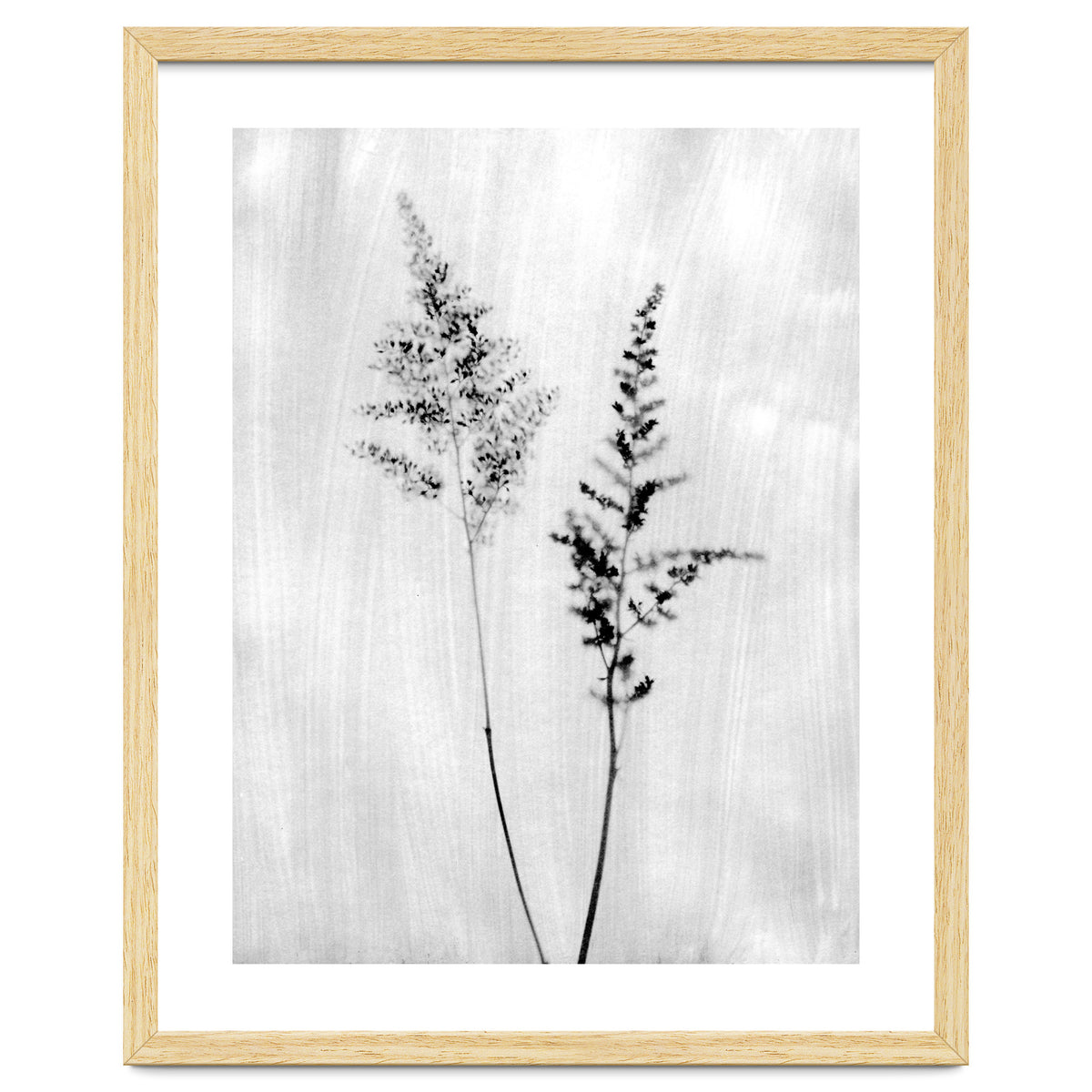 Delicate Wildflowers