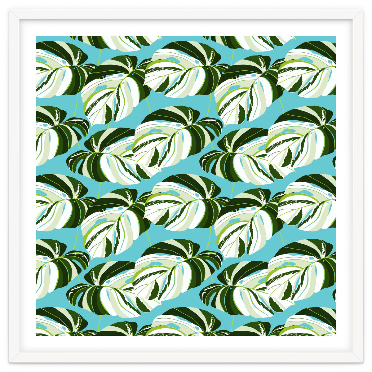 Summer Variegated Monstera | Rainforest Jungle botanical Plants Illustration | Boho Tropical Nature