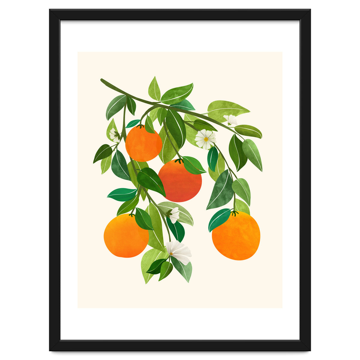 Oranges and Blossoms II