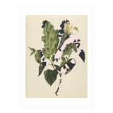 The First Plant · E3 (Print Only) thumbnail