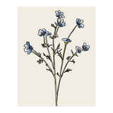 Bunch II (Print Only) thumbnail
