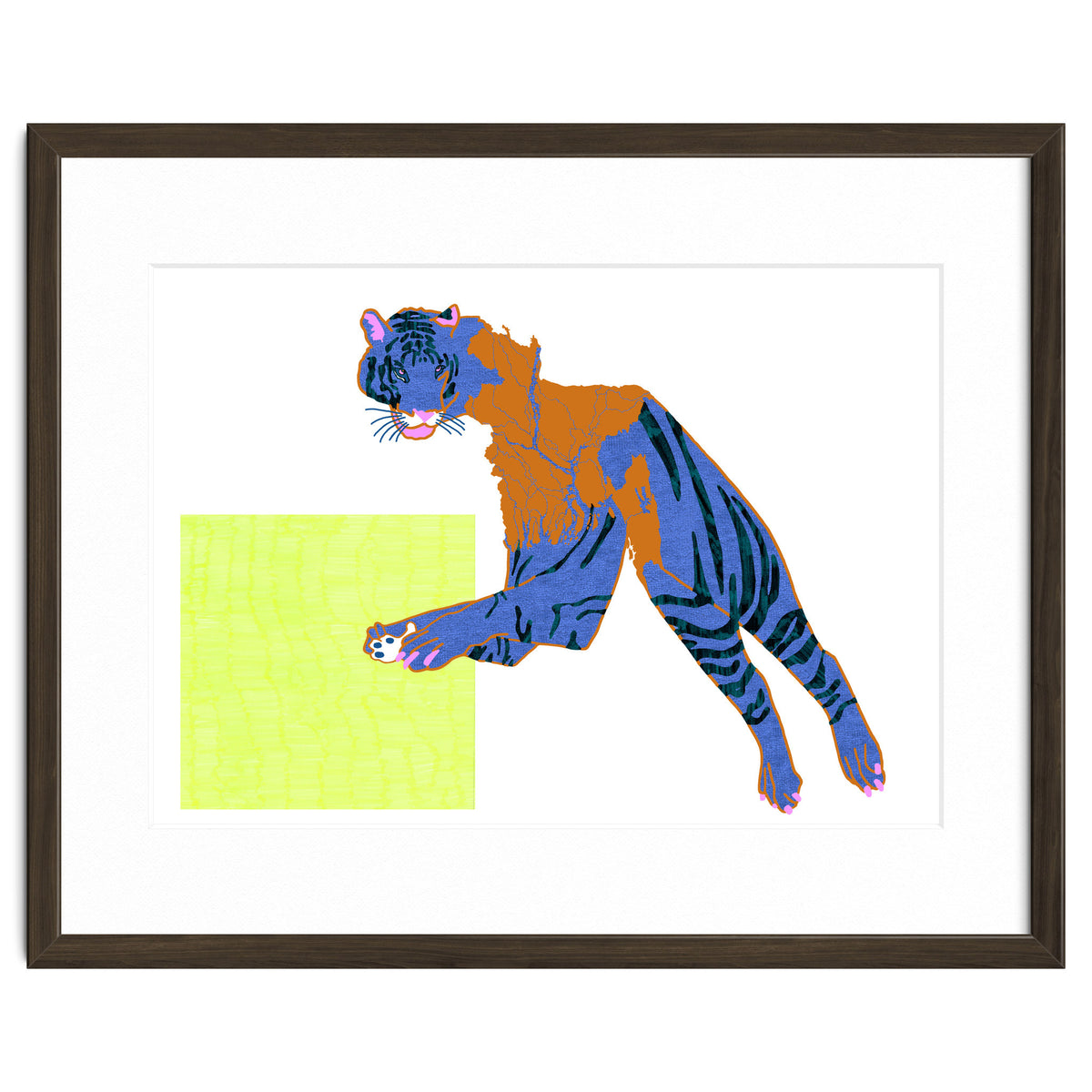 Bangladeshi Bengal Tiger