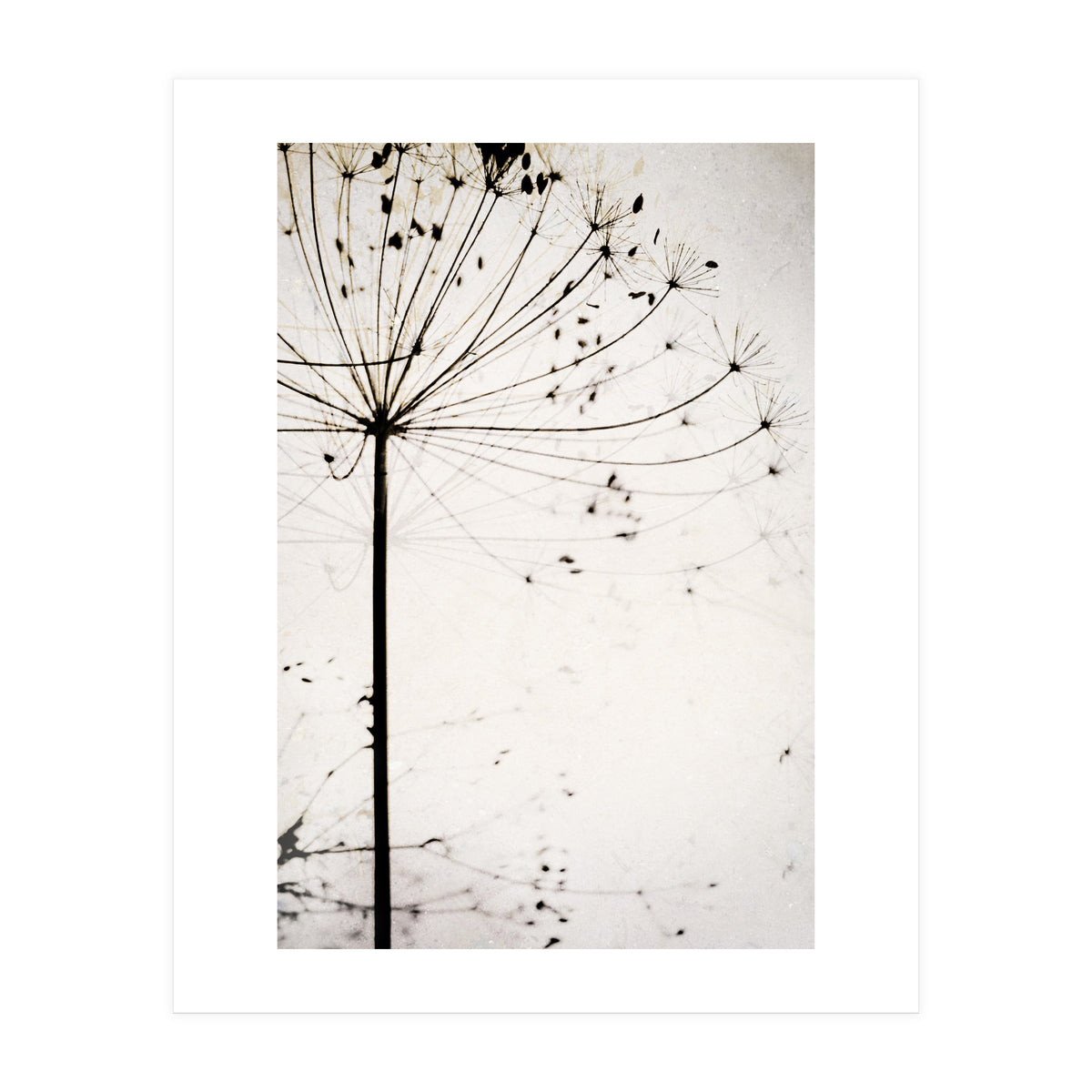 Herbstblume (Print Only)