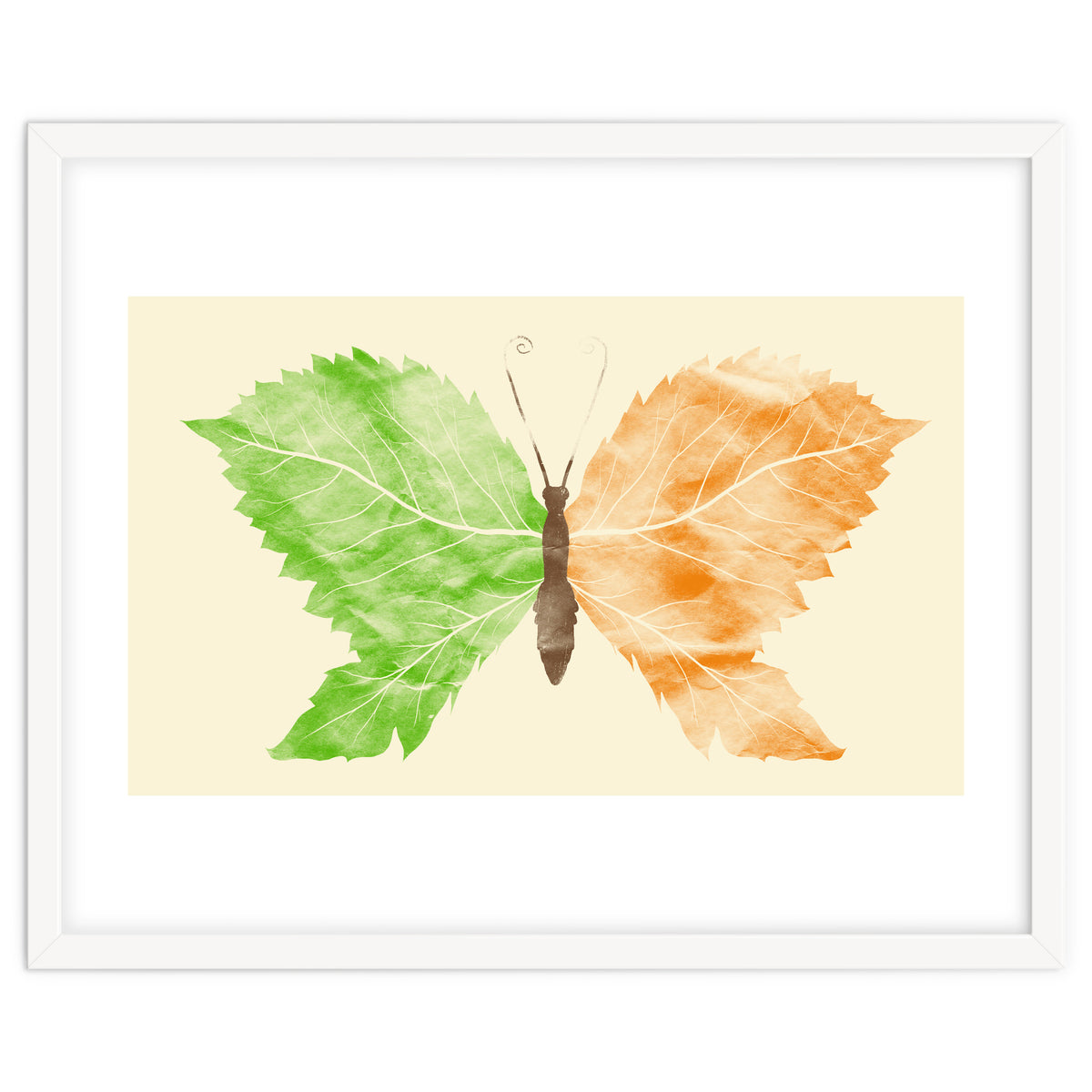 Seasons Change Time Flies