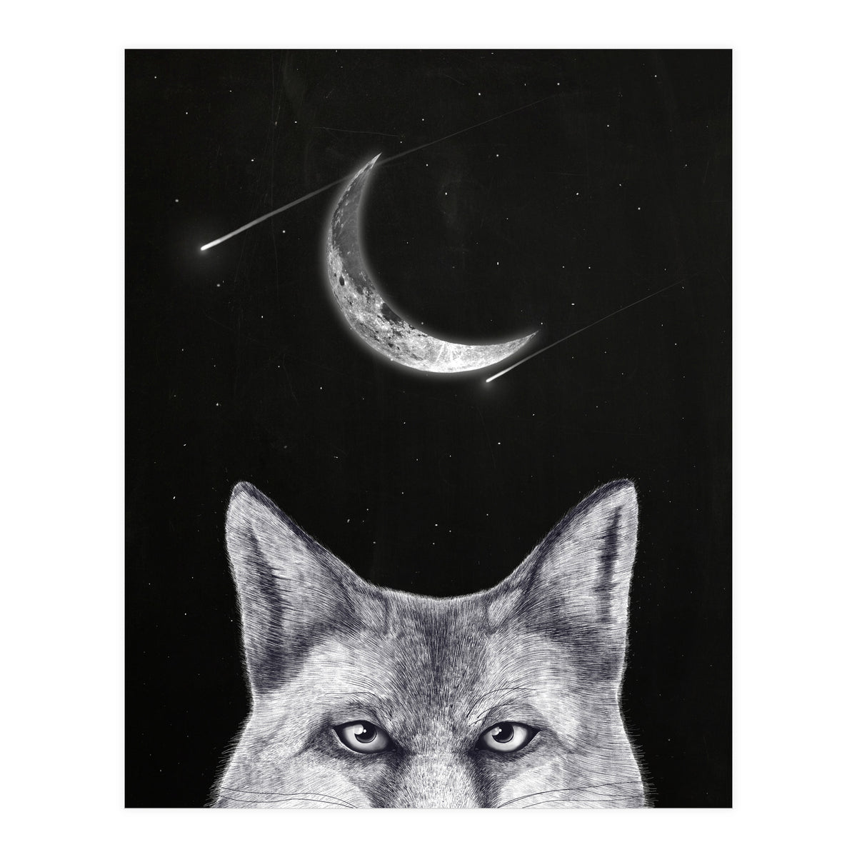 Fox Of The Night (Print Only)