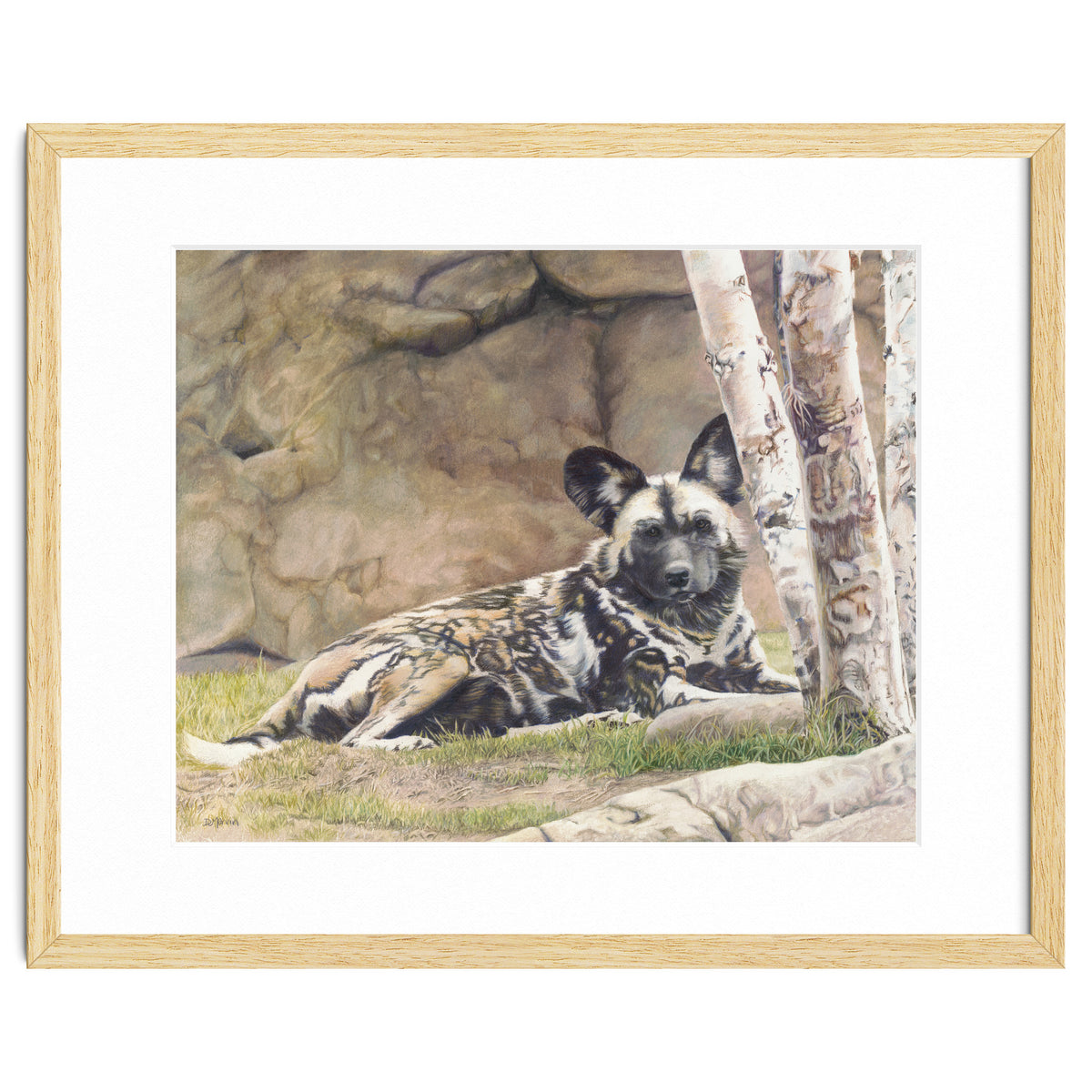 Afican Painted Dog IV - Imara