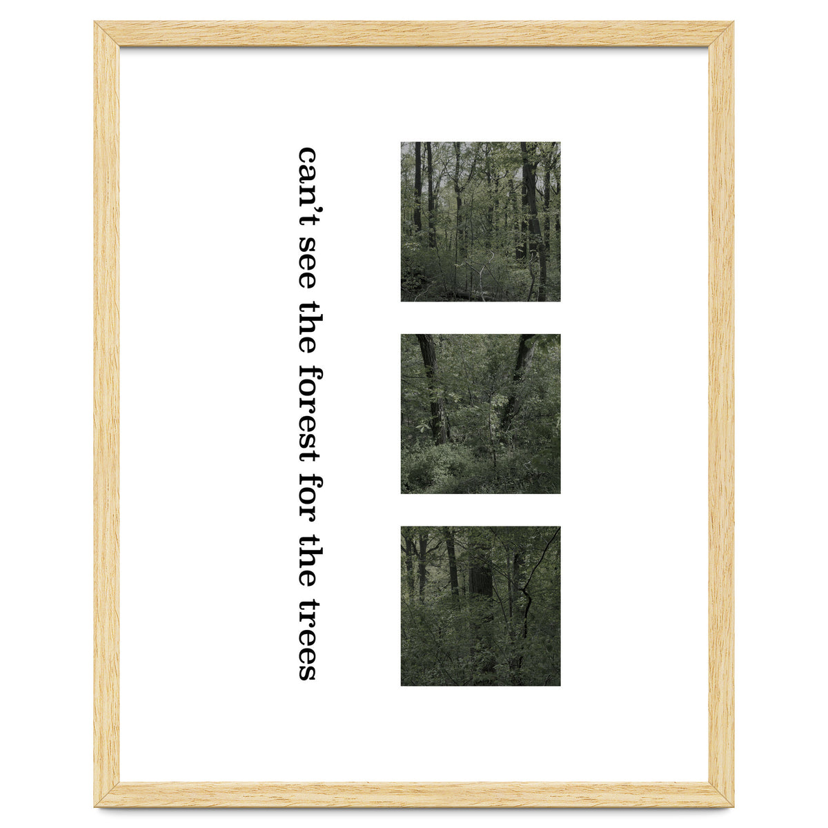 can’t see the forest for the trees