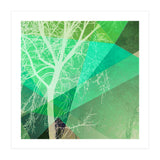 P22-B3 Trees And Triangles (Print Only) thumbnail