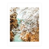 Japan (Print Only) thumbnail