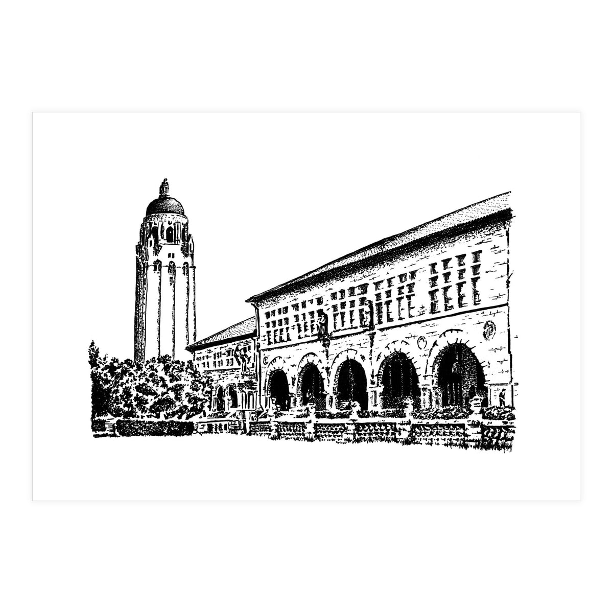 Stanford University (Print Only)