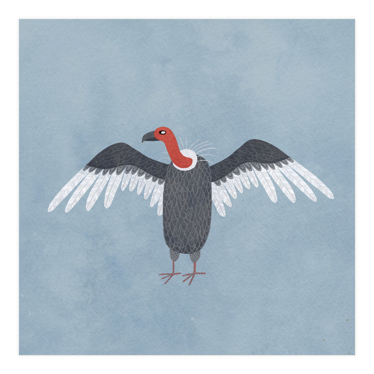 Vulture (Print Only)